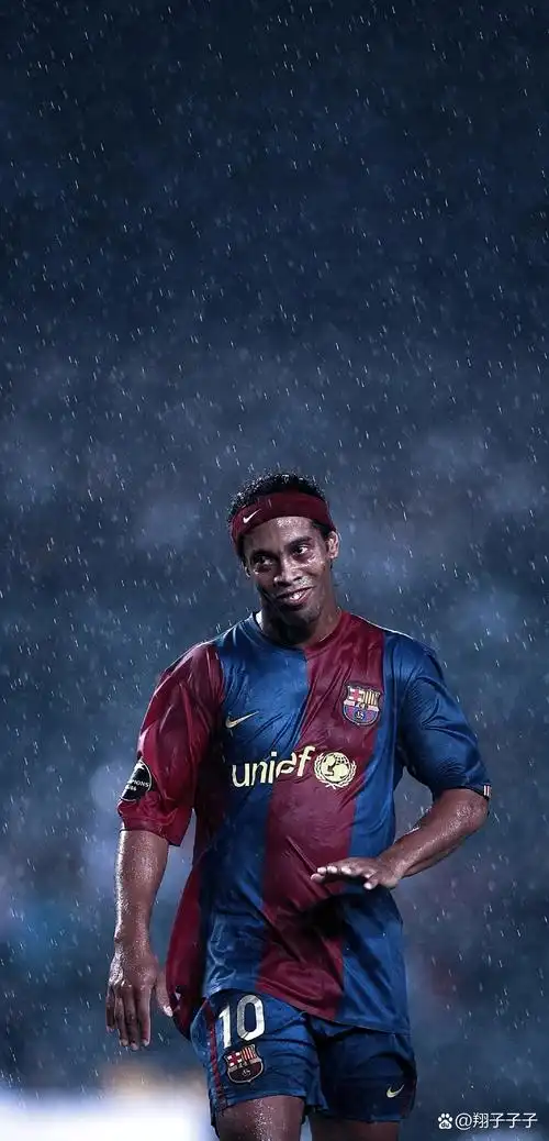 来西亚羽协 来西亚羽协